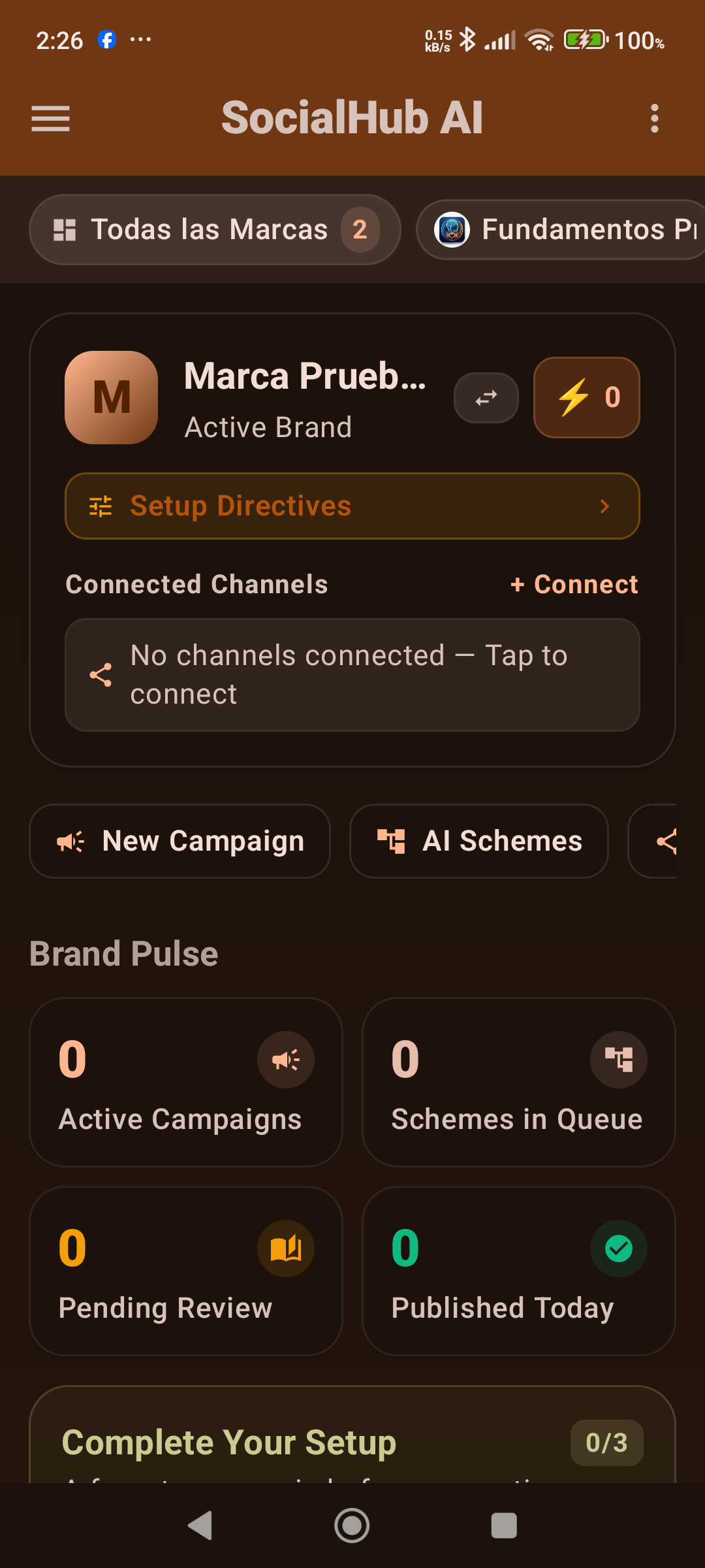 SocialHub AI Multi-Brand Client Portfolio